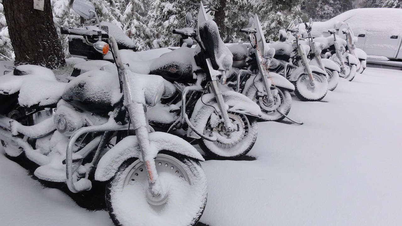 Winter-Proof Used Harleys for Wisconsin Riders